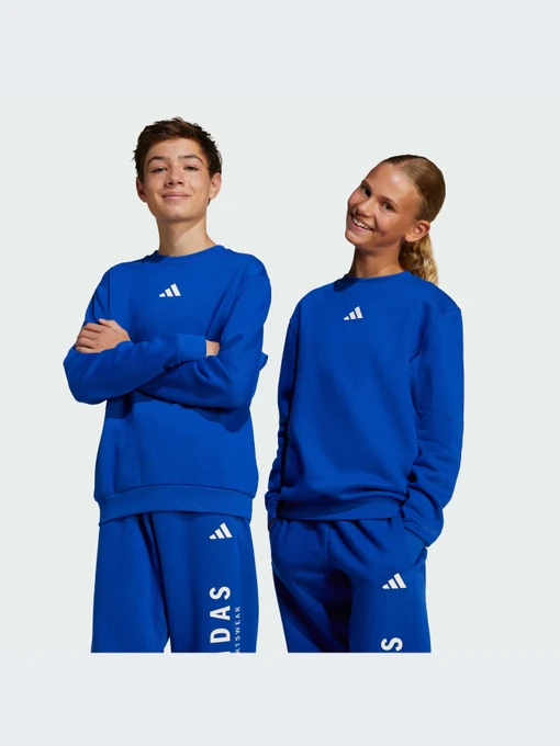 Худи и свитшоты Adidas модель JC7617-KZ Фото
