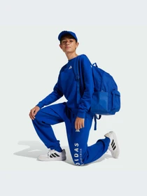 Худи и свитшоты Adidas модель JC7617-KZ Фото