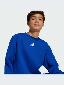 Худи и свитшоты Adidas модель JC7617-KZ Фото