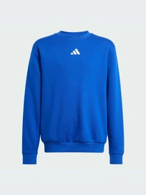 Худи и свитшоты Adidas модель JC7617-KZ Фото