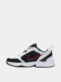 Кроссовки NIKE AIR MONARCH IV модель 100343347 Фото