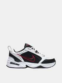 Кроссовки NIKE AIR MONARCH IV модель 100343347 Фото