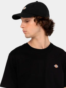 Шапки и кепки Dickies модель DK0A4TKVBLK1 Фото
