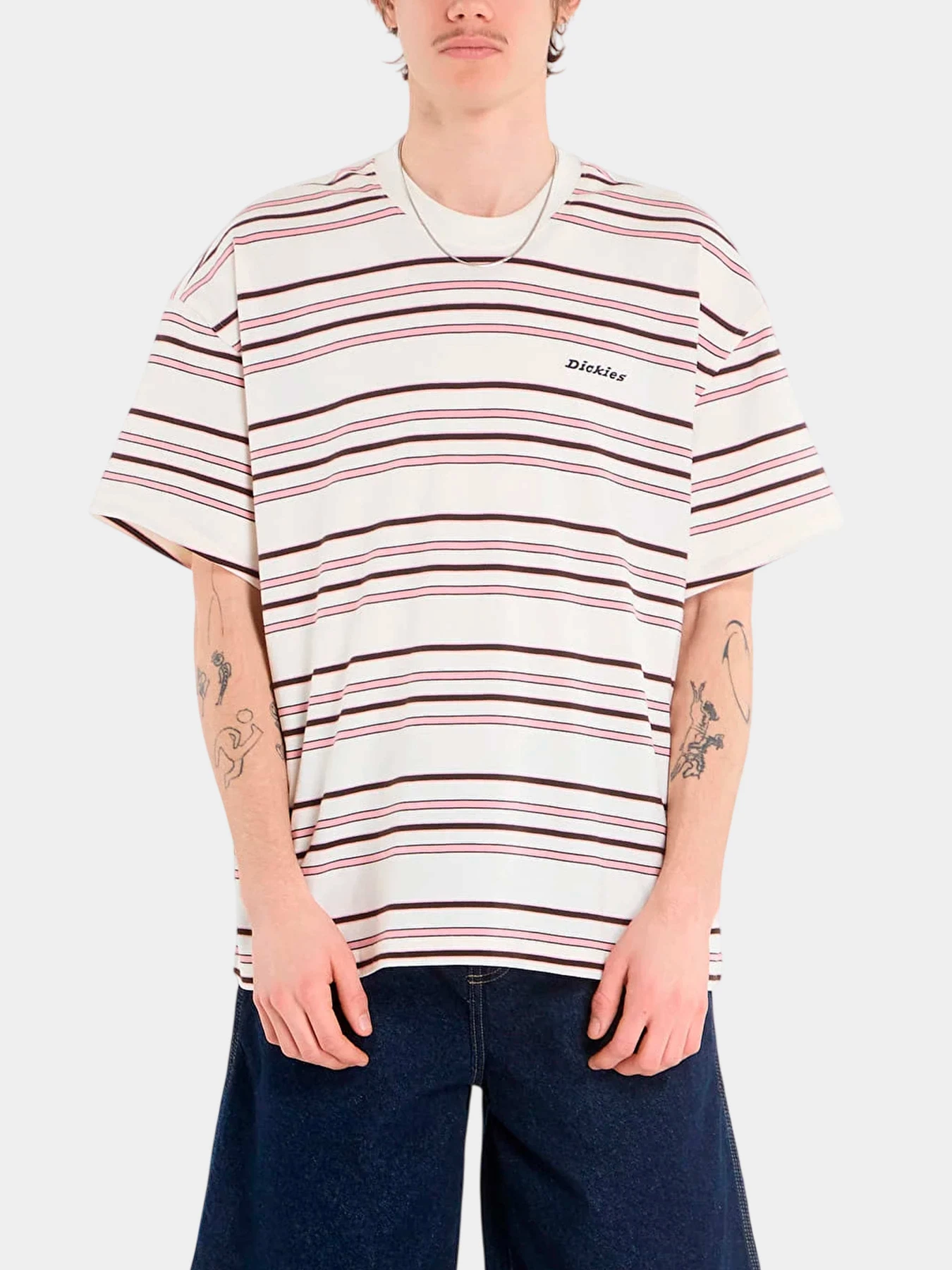 Футболки и поло Dickies модель DK0A88GFC481 Футболки и поло Dickies модель DK0A88GFC481 Фото