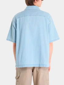Рубашки Dickies модель DK0A88PH0FE1 Фото