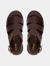 Сандалии Clarks модель 26186095 Фото