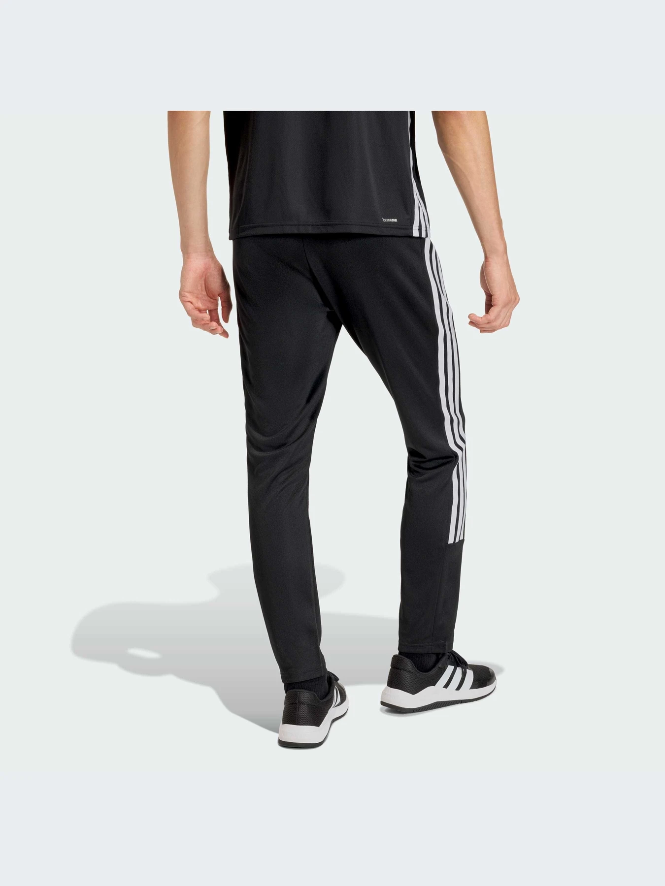 Брюки Adidas модель KA3590-KZ Брюки Adidas модель KA3590-KZ Фото