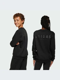 Худи и свитшоты Adidas модель JI6166-KZ Фото