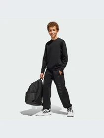 Худи и свитшоты Adidas модель JI6166-KZ Фото