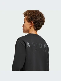 Худи и свитшоты Adidas модель JI6166-KZ Фото