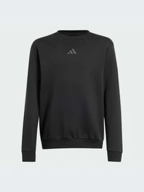 Худи и свитшоты Adidas модель JI6166-KZ Фото