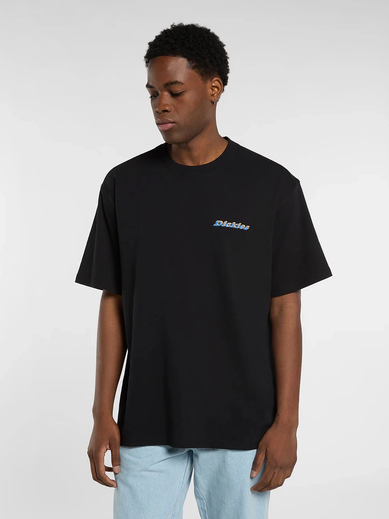 Футболки и поло Dickies модель DK0A8854BLK Футболки и поло Dickies модель DK0A8854BLK Фото