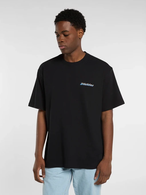 Футболки и поло Dickies модель DK0A8854BLK Фото
