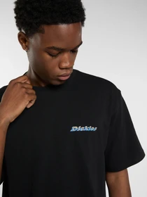 Футболки и поло Dickies модель DK0A8854BLK Фото