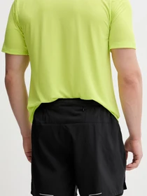 Шорты The North Face модель NF0A8G2VJK31 Фото