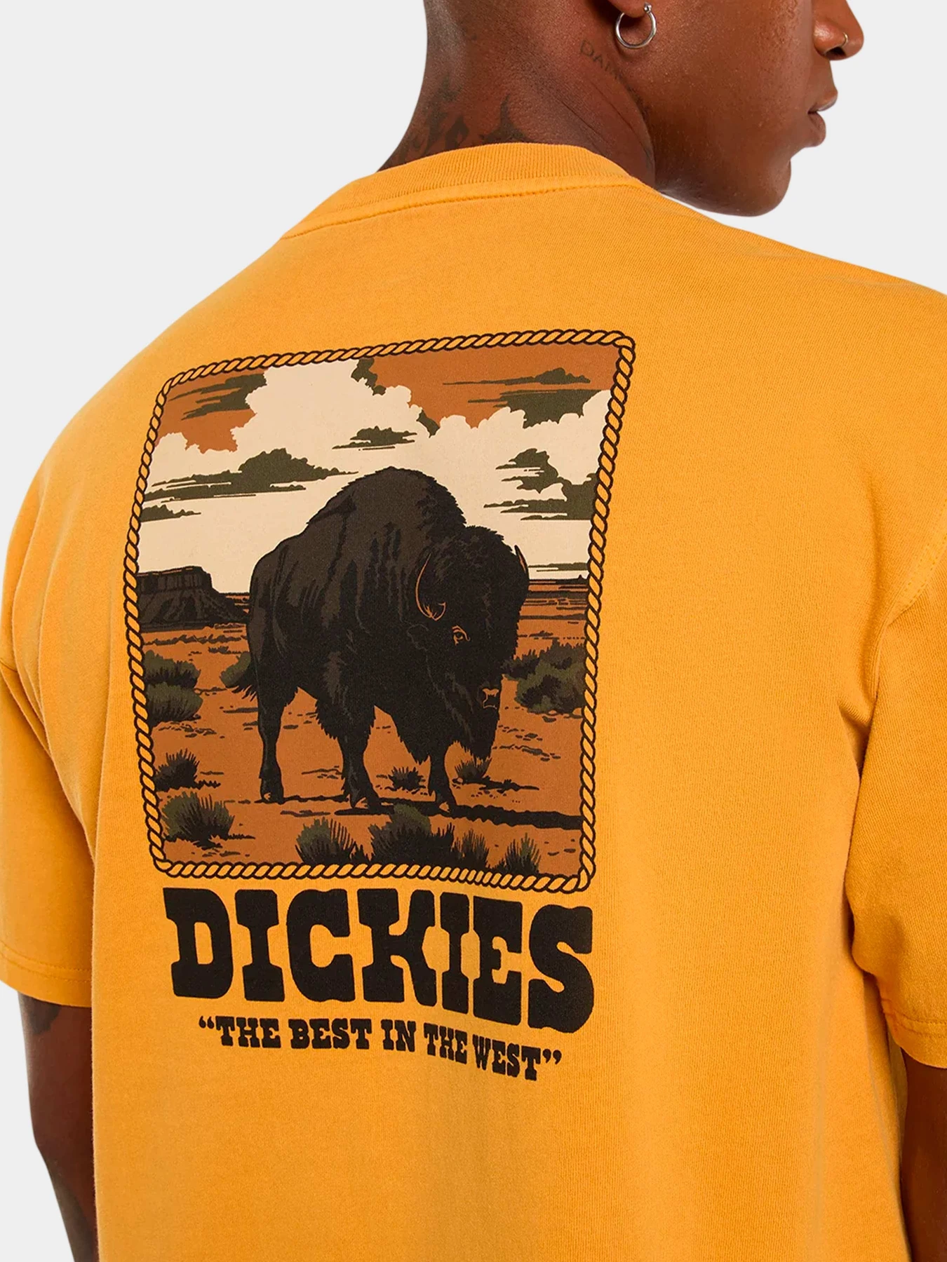 Футболки и поло Dickies модель DK0A88QQSOR1 Футболки и поло Dickies модель DK0A88QQSOR1 Фото