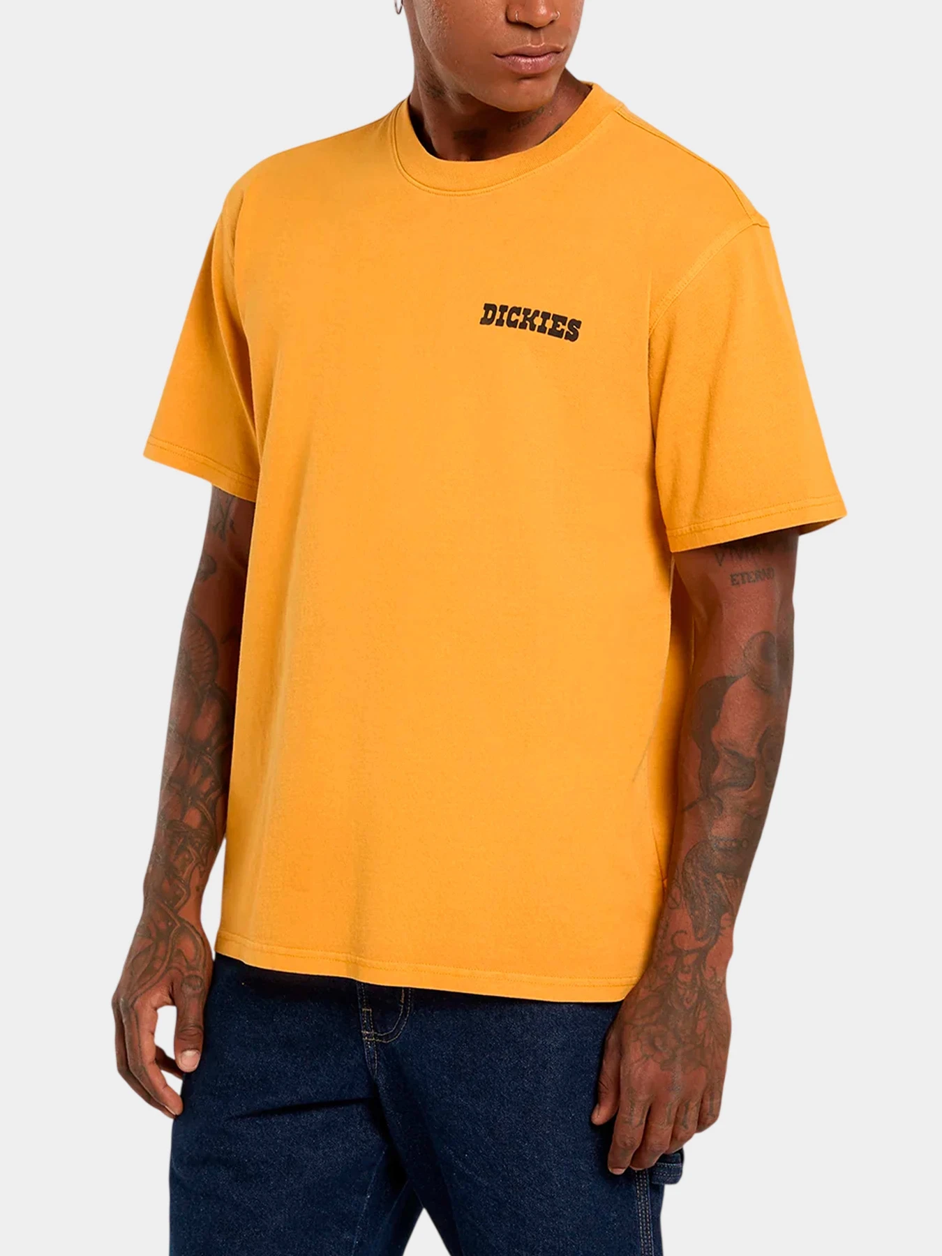 Футболки и поло Dickies модель DK0A88QQSOR1 Футболки и поло Dickies модель DK0A88QQSOR1 Фото