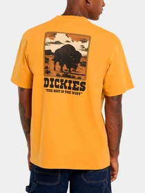 Футболки и поло Dickies модель DK0A88QQSOR1 Фото