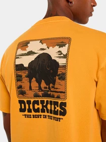 Футболки и поло Dickies модель DK0A88QQSOR1 Фото