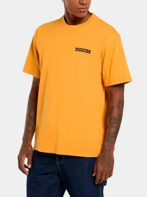 Футболки и поло Dickies модель DK0A88QQSOR1 Фото