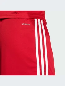 Шорты Adidas модель JE7745-KZ Фото