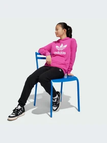 Худи и свитшоты Adidas Adicolor модель IY7444-KZ Фото