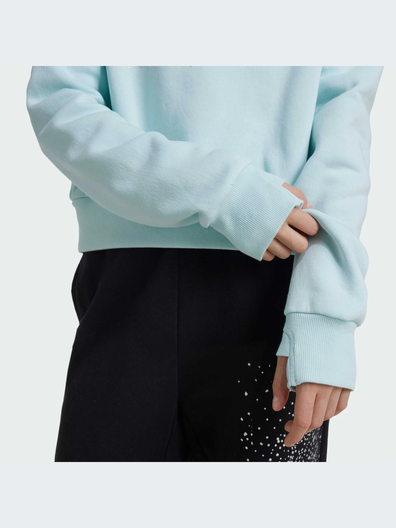 Худи и свитшоты Adidas модель IV9417-KZ Худи и свитшоты Adidas модель IV9417-KZ Фото