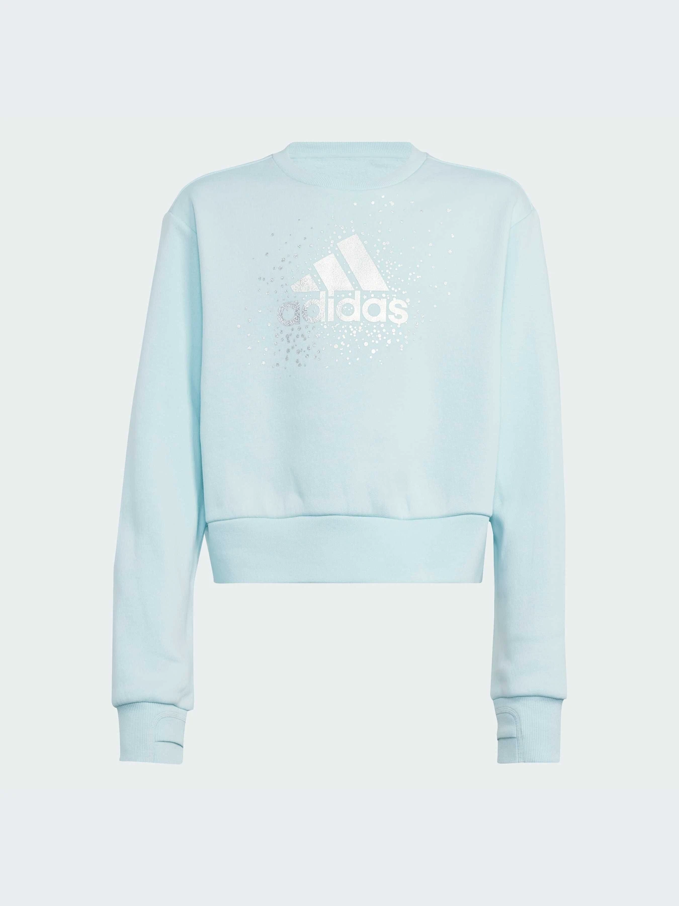 Худи и свитшоты Adidas модель IV9417-KZ Худи и свитшоты Adidas модель IV9417-KZ Фото