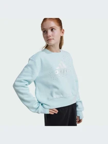 Худи и свитшоты Adidas модель IV9417-KZ Фото