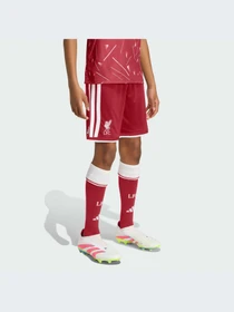 Шорты Adidas модель KB8264-KZ Фото