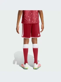 Шорты Adidas модель KB8264-KZ Фото