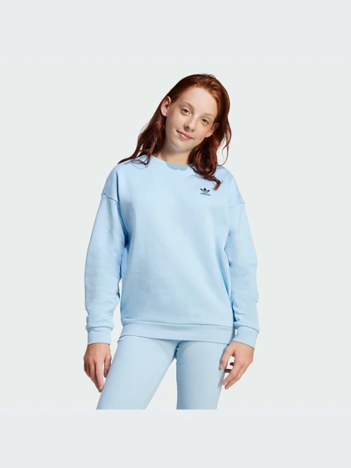 Худи и свитшоты Adidas модель JI5818-KZ Фото