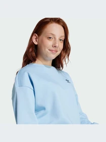 Худи и свитшоты Adidas модель JI5818-KZ Фото