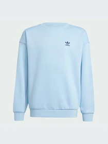 Худи и свитшоты Adidas модель JI5818-KZ Фото