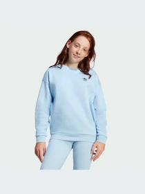 Худи и свитшоты Adidas модель JI5818-KZ Фото