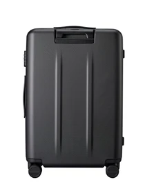 Дорожные сумки и чемоданы NinetyGo Danube модель LGBK2402RM Фото