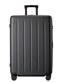 Дорожные сумки и чемоданы NinetyGo Danube модель LGBK2802RM Фото