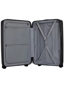 Дорожные сумки и чемоданы NinetyGo Danube модель LGBK2802RM Фото