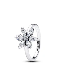 Кольца PANDORA модель 193000C02 Фото