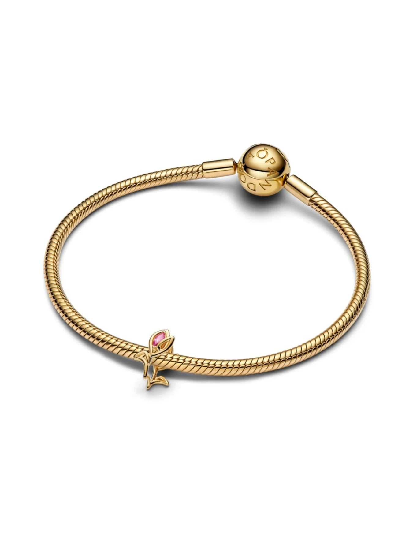 Классические PANDORA модель 764555C01 Классические PANDORA модель 764555C01 Фото