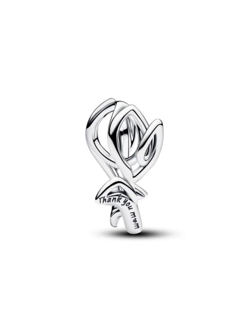 Классические PANDORA модель 794488C00 Фото