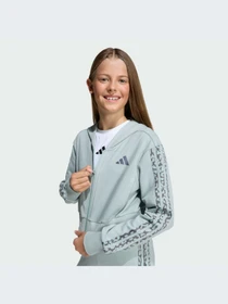 Худи и свитшоты Adidas модель KB6986-KZ Фото