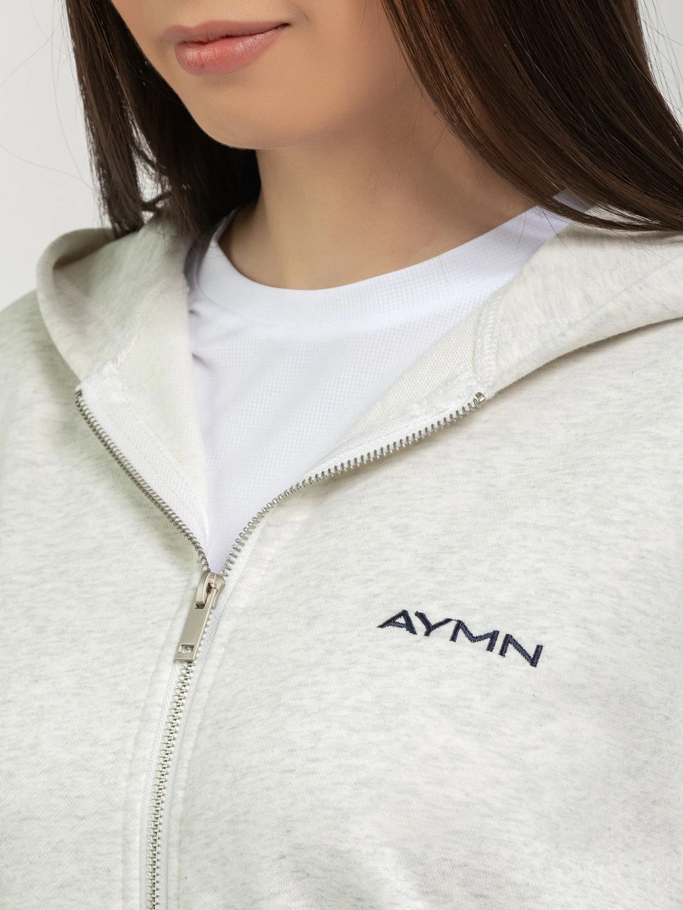 Худи и свитшоты AYMN модель AM-FW25-ziphoodie_gray Фото