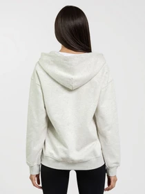 Худи и свитшоты AYMN модель AM-FW25-ziphoodie_gray Фото