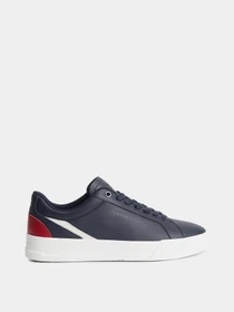 Кеды Tommy Hilfiger модель FM0FM05879-DW5 Фото