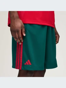 Шорты Adidas модель KC9600-KZ Фото