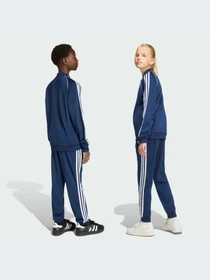 Брюки Adidas Adicolor модель KE2865-KZ Фото