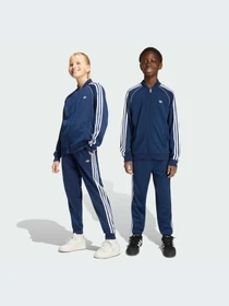 Брюки Adidas Adicolor модель KE2865-KZ Фото
