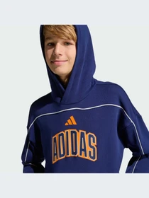 Худи и свитшоты Adidas модель KD3438-KZ Фото