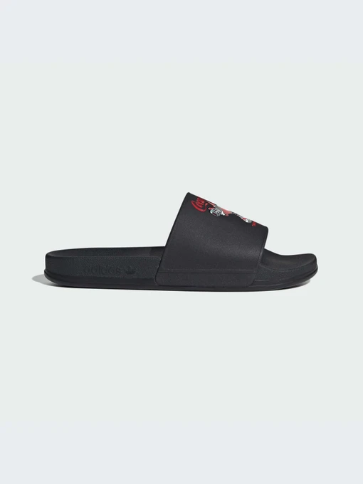 Шлёпанцы Adidas Adilette модель KH6902-KZ Фото